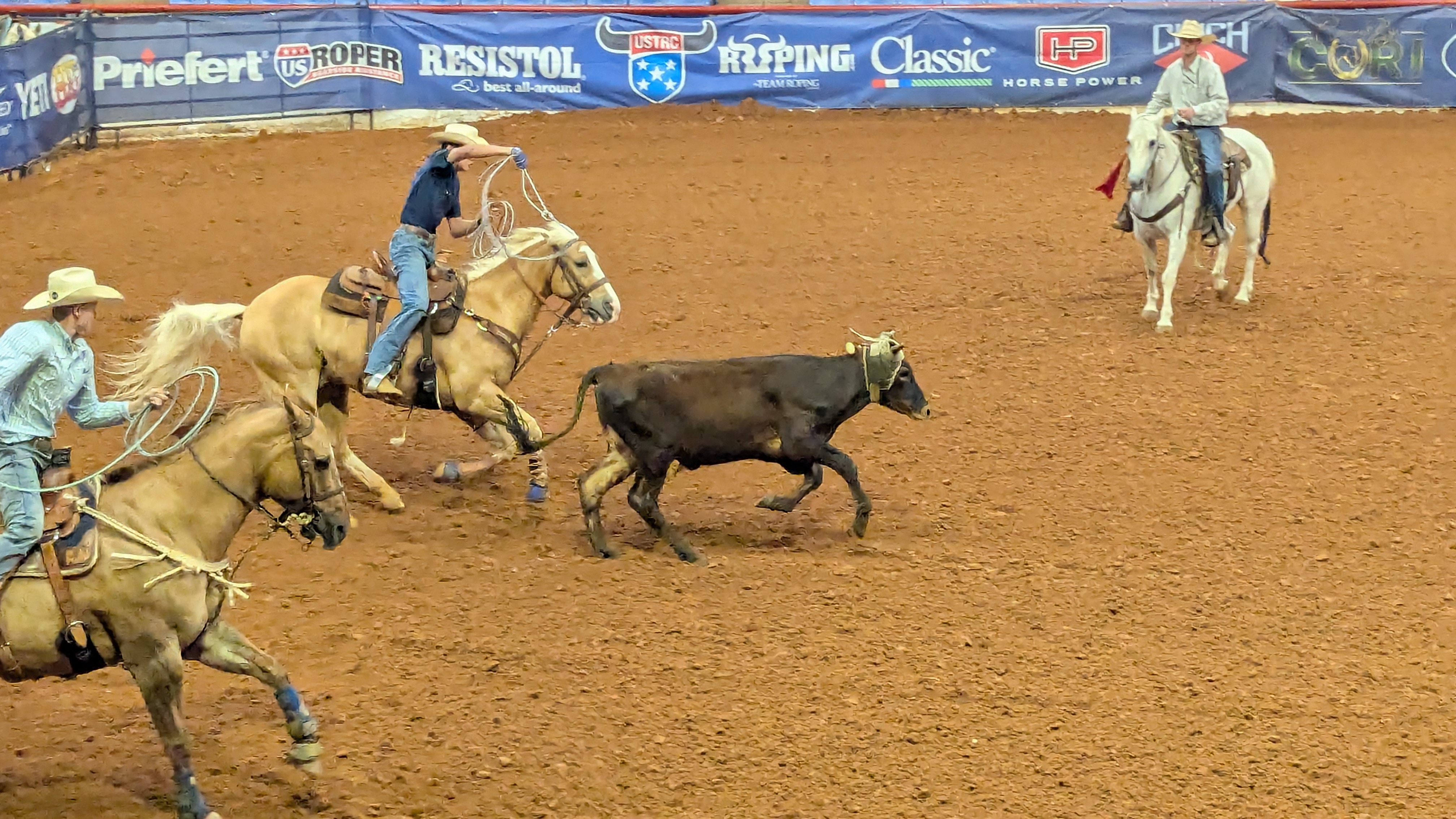 Cowboys doing cowboy things in Fort Worth